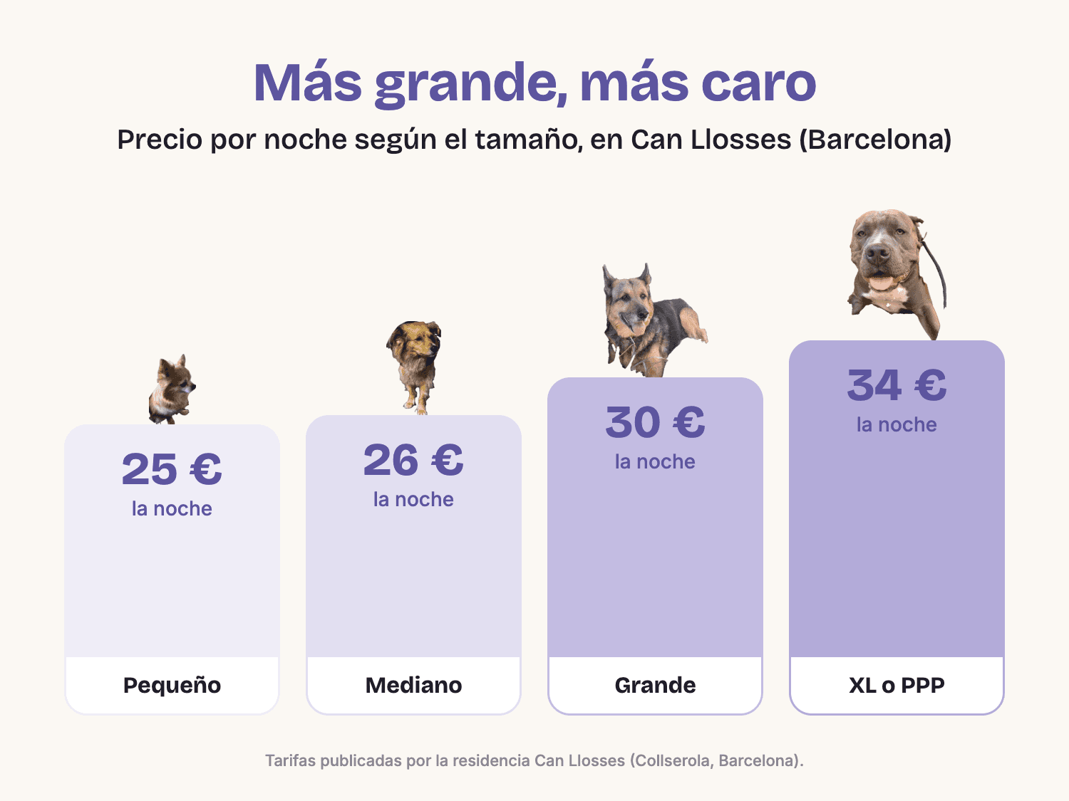 Precio por noche en la residencia Can Llosses según el tamaño del perro: pequeño 25 €, mediano 26 €, grande 30 €, XL o PPP 34 €